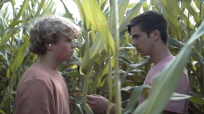 Erotic Shorts: Desire - The Ultimate Gay Porn Experience