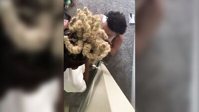 Black Teen with Huge Dick: Pro Sucks Again!