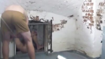 Gay Porn Videos - Cute Twinks Subjected to Bareback Domination!