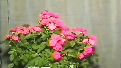 Japanese Amature Cuties: Vintage Boys Cumshots!