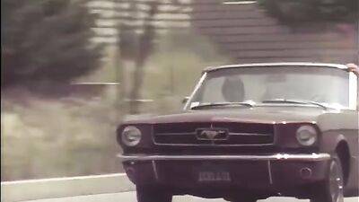 The Ultimate Surfer - Vintage Gay Porn Orgies!