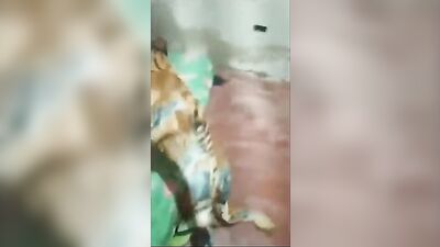 Caught with the hose still connected