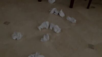 Twinks Stepson Homework Help Leads To Ass-Pounding