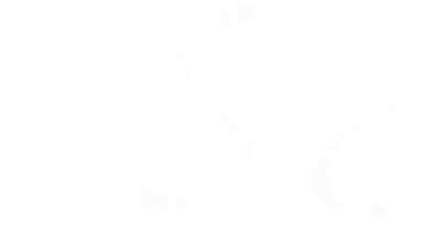 From Words to Action: Cum Shots, Group Sex and More!