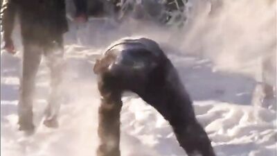 Gay Porn Party: Action-Packed Oral Bareback Fun!