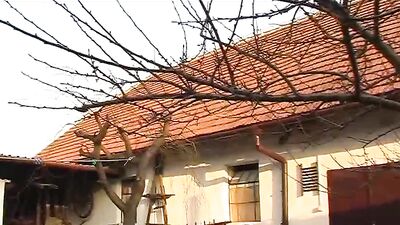 Juicy Affairs: Bareback Cum Shots Handjob Oral Porn Twinks