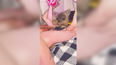 WOLFIES FURRY COYTAIL: A SLUTTY BAREBACK ADVENTURE