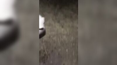 Japanese Boy Risky Wanking: Nocum 2 - Amateur Asian Fetish Public Outside Solo