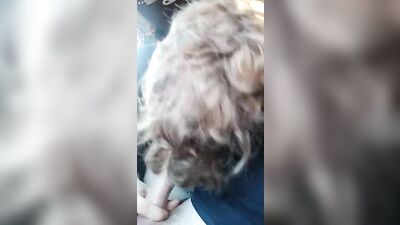 Furious Rough Face Fucking - Web-Cam Amateur Action Big Cocks Fun Oral Public Fetish