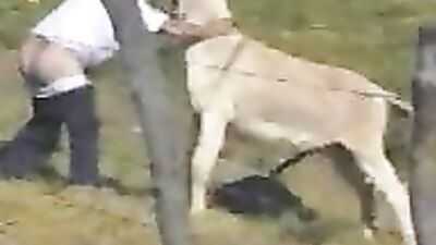 Horny Donkey Sexcapades: Unleash Your Inner Beast!