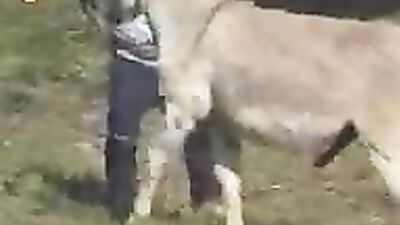 Horny Donkey Sexcapades: Unleash Your Inner Beast!