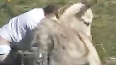 Horny Donkey Sexcapades: Unleash Your Inner Beast!