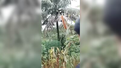 Asian Teen BJ Revamped - Web-Cam Handjob Mix Twink Fuck Action