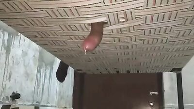 Raw & Real: Amateur Wanking & Hot Cumshots