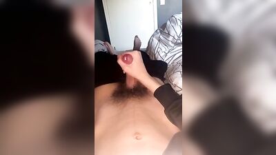 Hard Edge Playtime - [783]