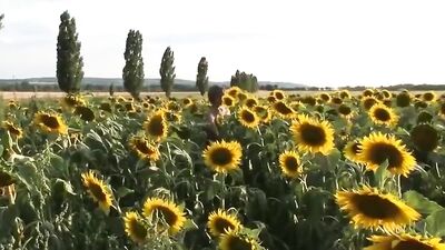 Gay Porn Hookup in Sunflower Field!
