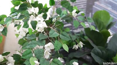 Gay Massage Porn: Helping Hands and Cum Shots for Twinks!