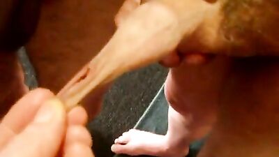 Gay Porn Daddies Cocks - Group Sex Fun Amature Fetish