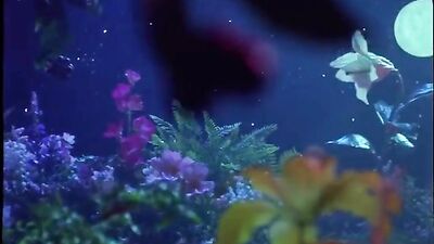 Altered Innocence - Vintage Gay Porn Redemption