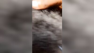 Oral Delight ZXCD - The Ultimate Oral Porn Experience!