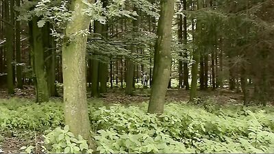 Gay Porn Ranchers - Bareback Cum Shots Handjob Oral Outside twinks 190 characters