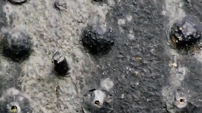 Butt-Fuck My Boy-Ass Bareback!: Ultimate Gay Porn Experience