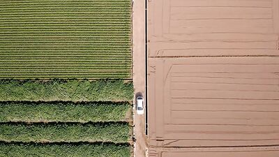 Love at First Sight: Javiers Summer Crush (2022)