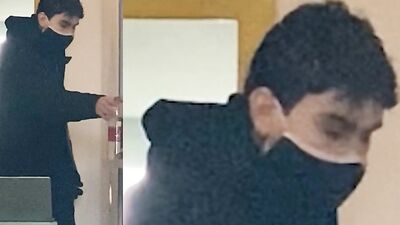 Young Gloryhole Lover Sensational Oral Delight!