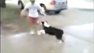 Tuba Dogg Attack! - Gay Porn Fun with Dogs and Tubas!