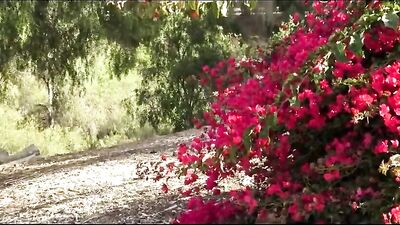 Double Twink Thrills - JBS Videos Tube Duo