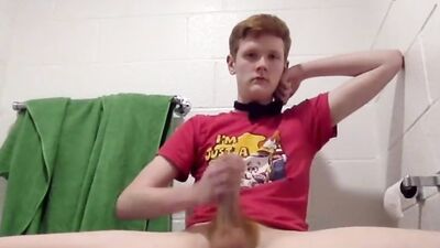 The Ginger Mens Room Boys: Gay Bathroom Romps in the Shower!