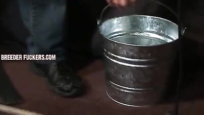 Breaking Him: The Gay Porn Slave Trade