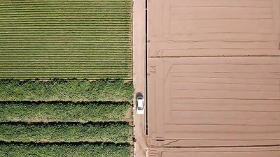 Heartbreak & Revenge - A short gay themed movie #34;He Loves Me, He Loves Me Not#34; explores the heartbreaking reality of unrequited love and the revenge that follows.