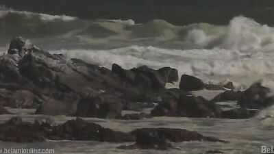 Gangbang Fantasy with Kris Evans: The Ultimate Action-Packed Handjob Experience!