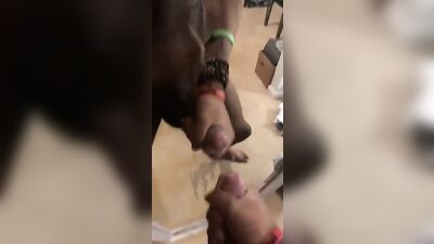 Beat My Dick And Nut A Lot - Gay Porn Action!