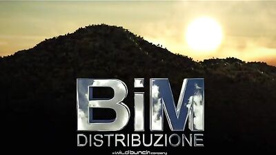 Fireworks of Love: A Sicilian Gay Romance