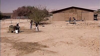 Power Driver: The Ultimate Vintage Gay Porn Experience!