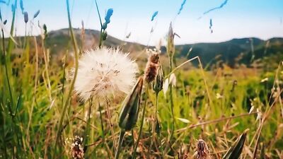 French Exhib Hiking - Two Twinks in The Nature And A Voyeur