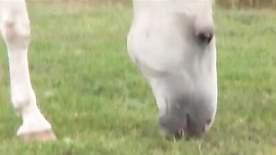 Farm Boys Dirty XXX - Gay Porns Hottest Oral Threesome!