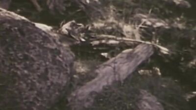 Big Hands - The Ultimate 80s Frat Boy Porn Experience