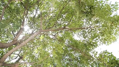 Gangbang Heaven: Muscle Boys and Handjobs Galore!