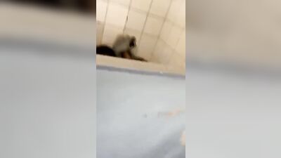 Gay Spy in the Toilet: The Ultimate Hidd*en Camera Experience!