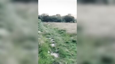 Brokebacks Hidd*en Romance: The Prequel Musical