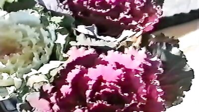 Raw Sushi Desire: Japanese Vintage Twink Amateur Porn