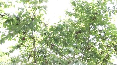 College twink bareback threesome - hot boy fucking and cumming on dicks!