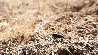 Desert Stroke: Mario Adrions Tempting Yoga Flow in the Sands of Lust