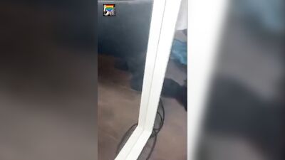 Twink Web-Cam Cum Shots Mix - Cam Boy