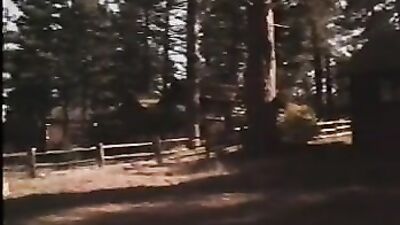 Gay Vacation Heat: Blondes on Bed - Gay Porn Videos