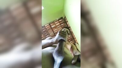 [ABX][A][193] Amateur wanking and hot cumshot : Explosive Orgasms and Unbridled Passion!