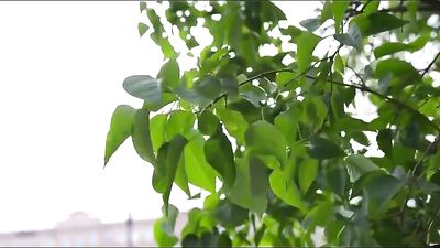 Cum Home With Me - Harder, Faster & More Intense